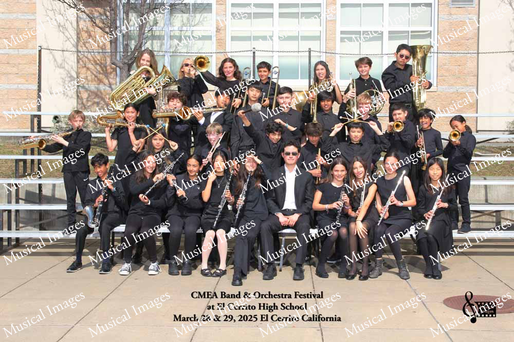 Musical Images